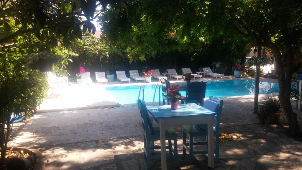 סלימייה Jenny'S House Hotel מראה חיצוני תמונה