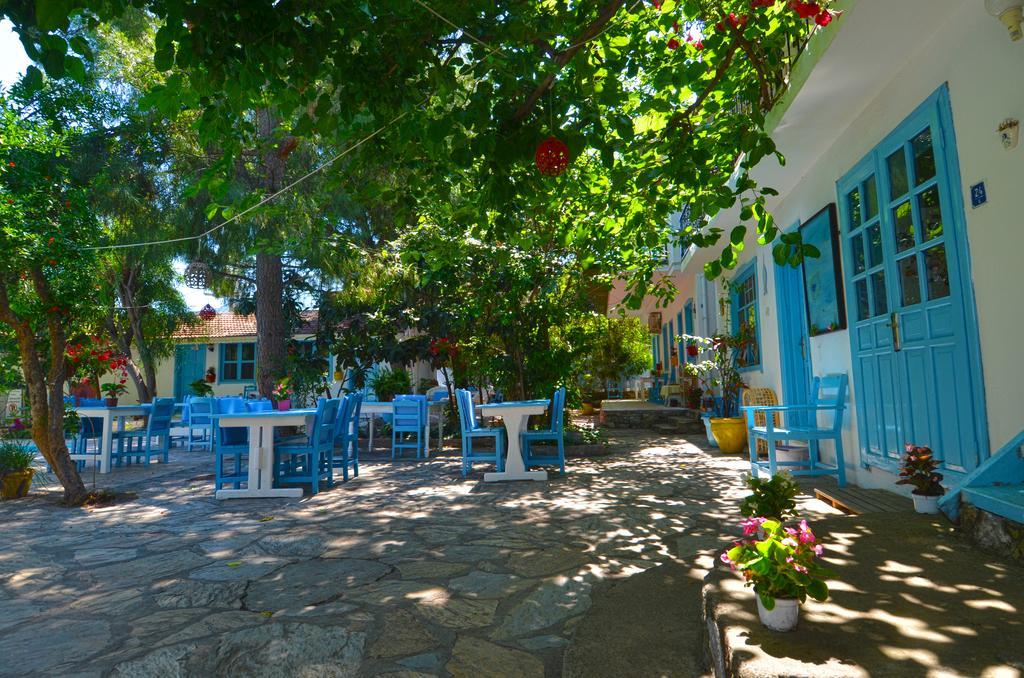 סלימייה Jenny'S House Hotel מראה חיצוני תמונה
