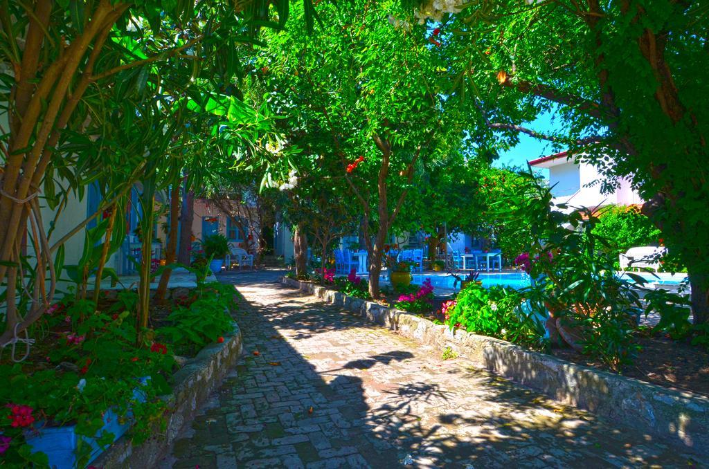 סלימייה Jenny'S House Hotel מראה חיצוני תמונה